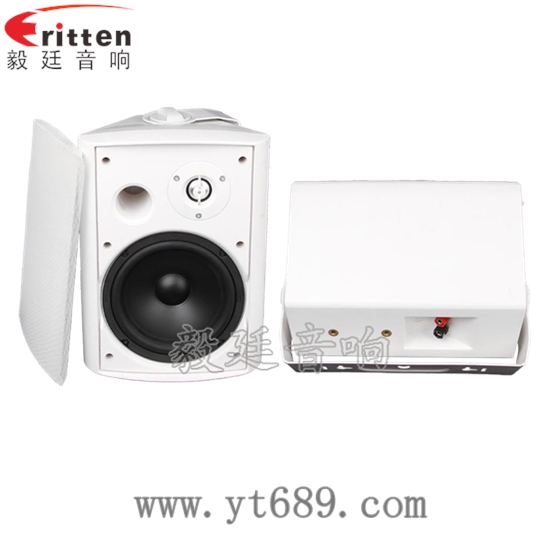 6.5寸2路墻壁音箱正反面 6.5寸2路墻壁音箱正反面