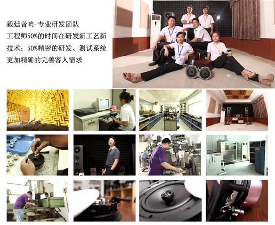 2寸全頻HIFI音箱喇叭研發團隊 2寸全頻HIFI音箱喇叭研發團隊