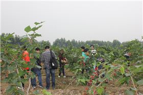 毅廷音響廠家 毅廷音響廠家