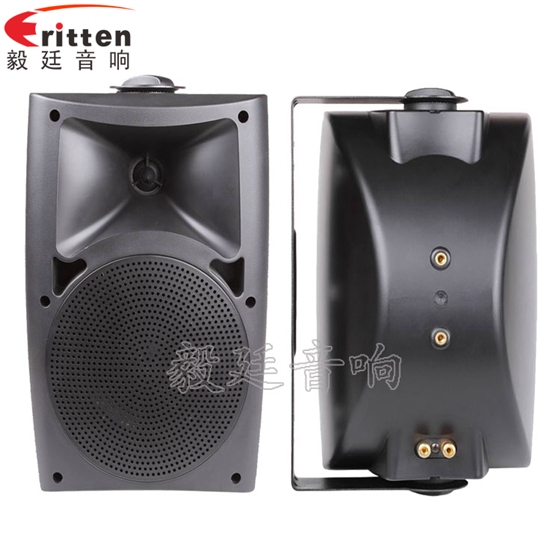 5.25寸墻壁音箱正反面 8''中低音舞臺(tái)音箱喇叭廠家正反面
