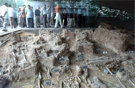 毅廷揚(yáng)聲器喇叭生產(chǎn)廠家 毅廷揚(yáng)聲器喇叭生產(chǎn)廠家