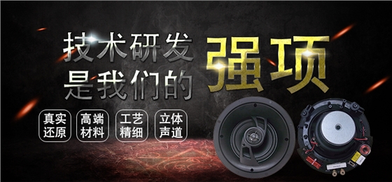 6.5寸吸頂式天花喇叭