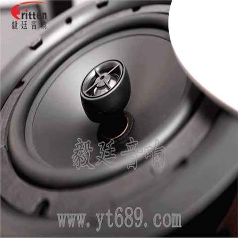 8寸天花吸頂喇叭 8寸天花吸頂喇叭