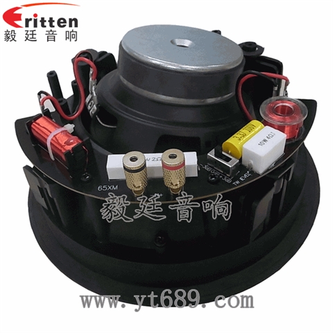 6.5寸40瓦天花全頻喇叭