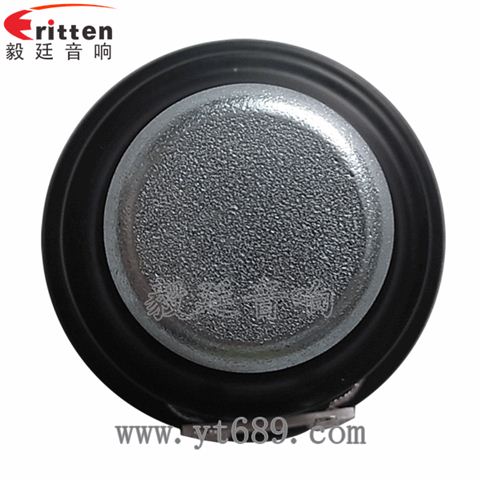 2寸8W內(nèi)磁全頻喇叭