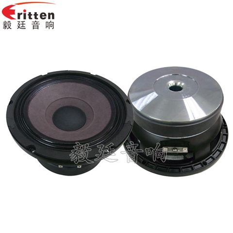 8寸中低音舞臺音箱喇叭