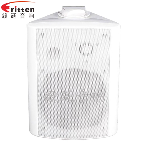 5.25寸掛壁音箱喇叭 5.25寸掛壁音箱喇叭