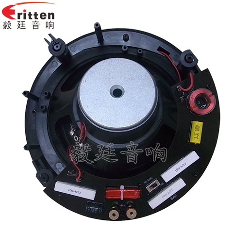 2路8寸吊頂喇叭