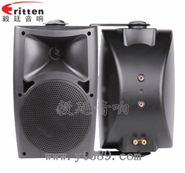 5.25寸2路壁掛音箱