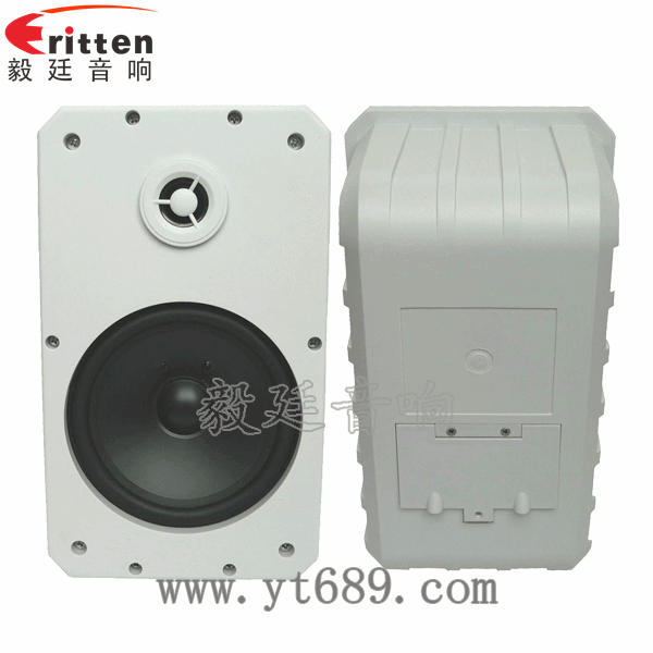 10寸專業(yè)音箱喇叭正反面 8''中低音舞臺音箱喇叭廠家正反面