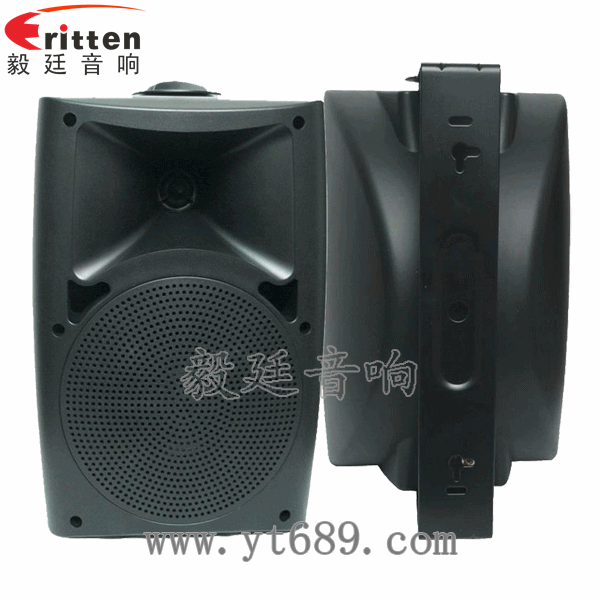 6.5寸兩路墻壁喇叭正反面 8''中低音舞臺(tái)音箱喇叭廠家正反面