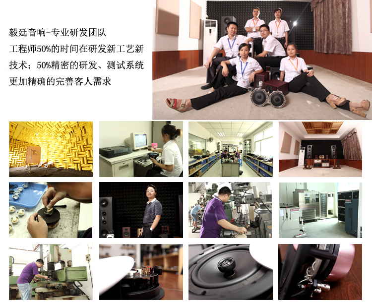 31mm全頻藍(lán)牙音箱喇叭生產(chǎn)廠家研發(fā)團(tuán)隊(duì)