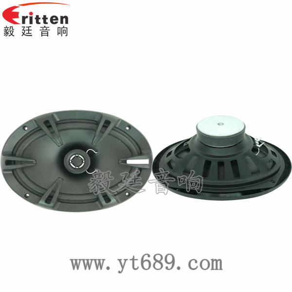 8''250w 重低音喇叭正反面