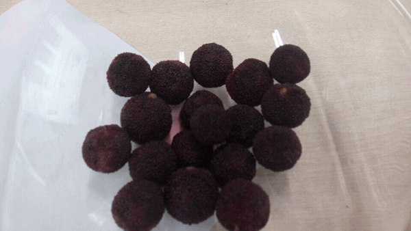 毅廷喇叭廠勇敢邁出第一步就是我們最大勝得 —牛商爭霸死黨互動學習共成長