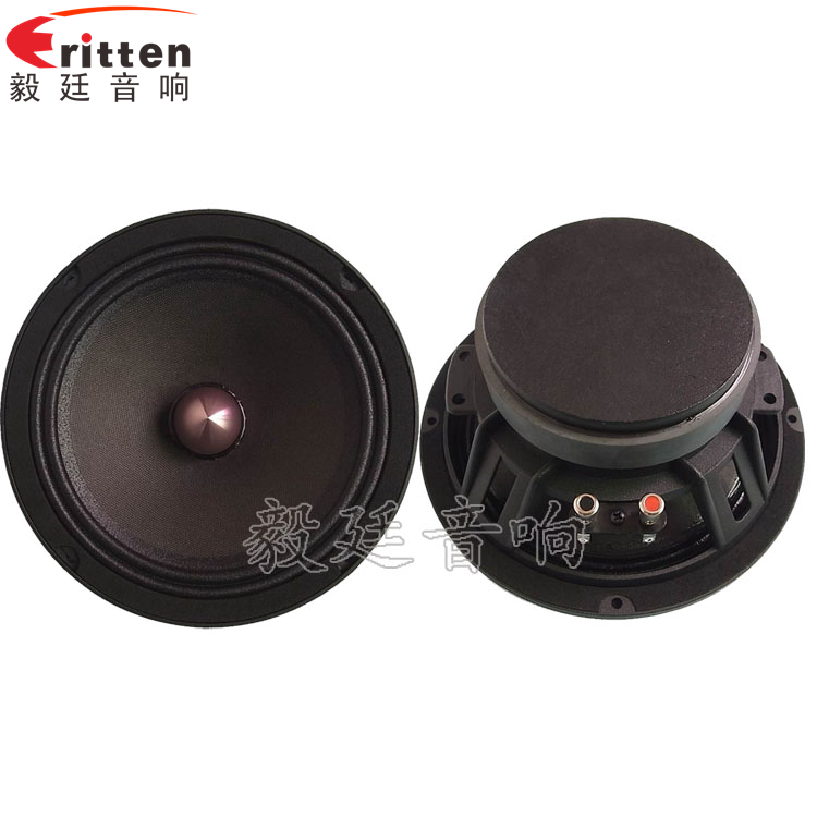 8''250w 重低音喇叭正反面