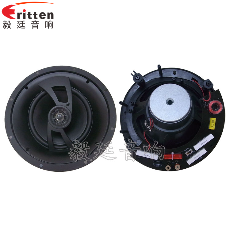 2路8寸吊頂喇叭正反面 8''250w 重低音喇叭正反面