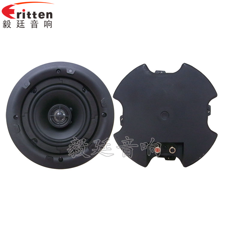 8''250w 重低音喇叭正反面