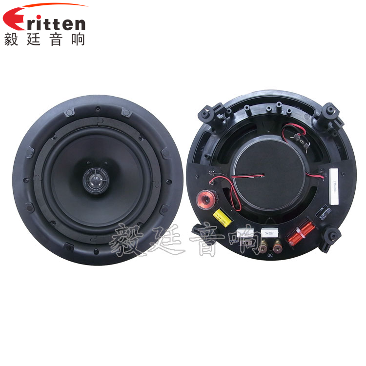 8''250w 重低音喇叭正反面