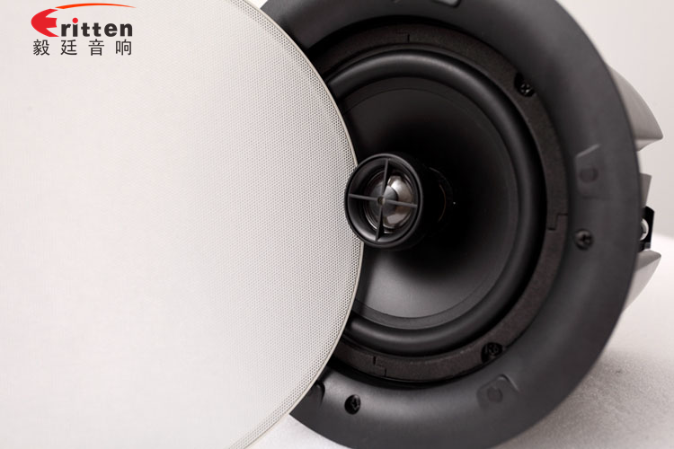 天花音響喇叭正面照 天花音響喇叭正面照