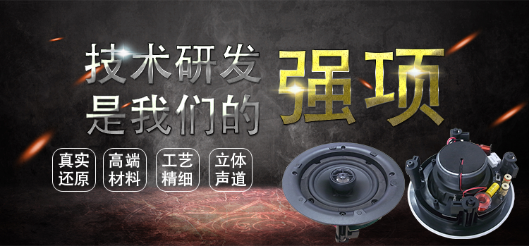 5.25寸(196mm)PP盆/橡膠邊50W鐵氧體全頻天花音箱喇叭 5.25寸(196mm)PP盆/橡膠邊50W鐵氧體全頻天花音箱喇叭