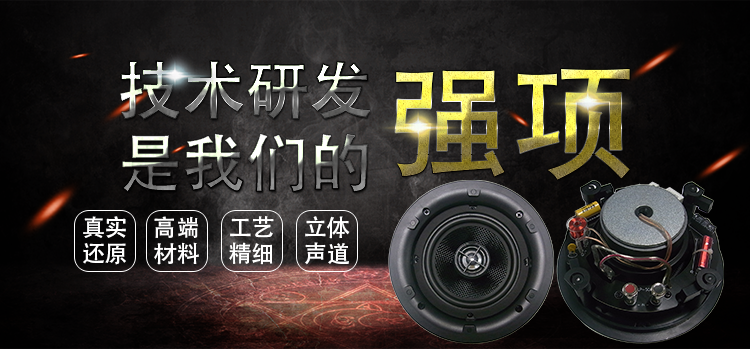 5.25寸天花揚(yáng)聲 5.25寸天花揚(yáng)聲